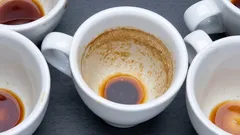 Come togliere le macchie di tè e caffè dalla tazza in 1 minuto con il dentifricio