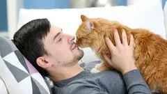 Perché i gatti annusano il tuo alito: che cosa vogliono davvero sapere?